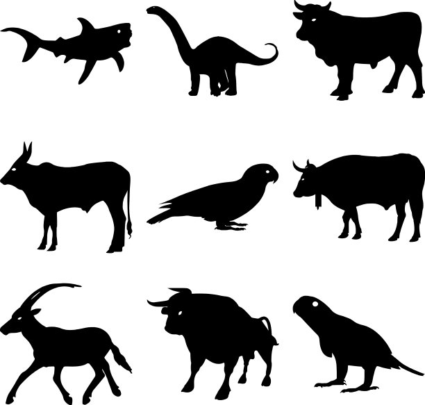 可爱的丛林动物剪影符号集黑色图片下载