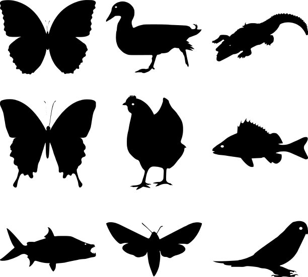 收集可爱的家畜剪影图片下载