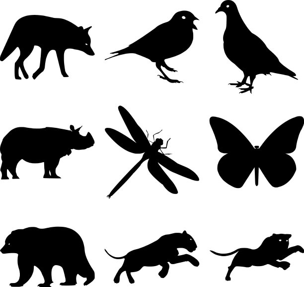 收藏野生动物剪影符号图片下载