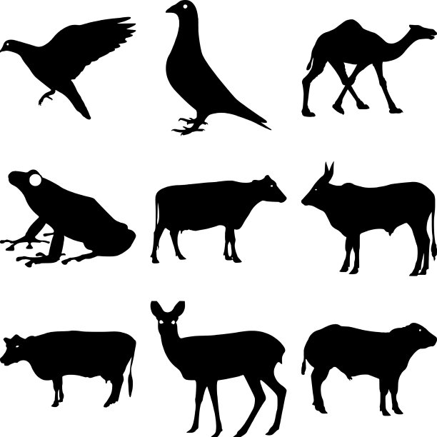 黑白可爱的丛林动物剪影图片下载