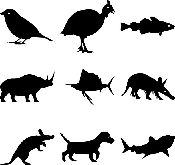 黑白套野生动物剪影图片下载