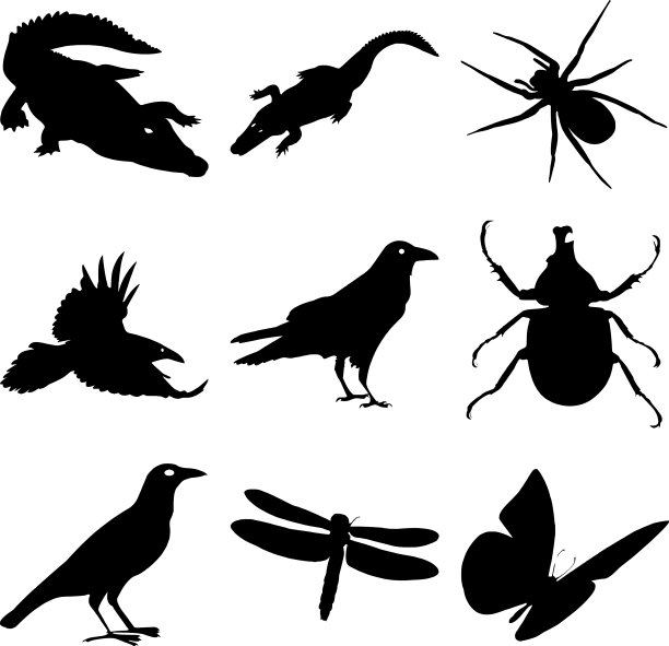 可爱的家庭动物剪影剪影集图片下载