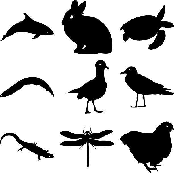 非洲哺乳动物鸟类剪影剪纸集图片下载