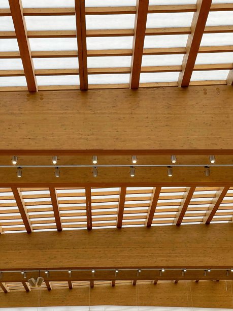 带有窗户和抽象植物的木质屋顶图片下载