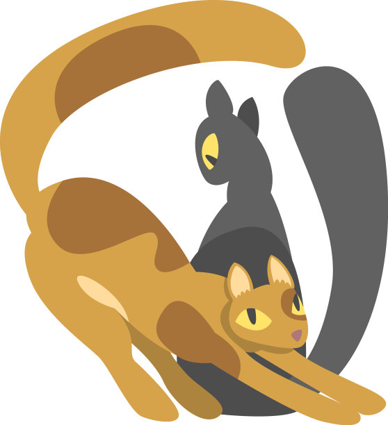 一对毛绒绒的猫在爱的讨好图片下载