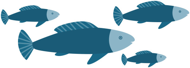 海洋中有海洋生物代表海鱼图片下载