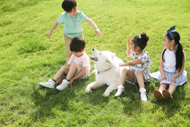 快乐的孩子在外面玩耍图片下载