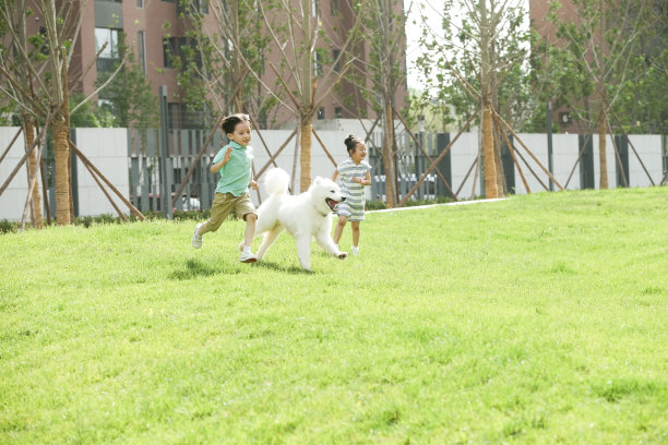 快乐的孩子们在草地上玩耍图片下载