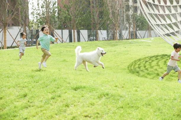 快乐的孩子们在草地上玩耍图片下载