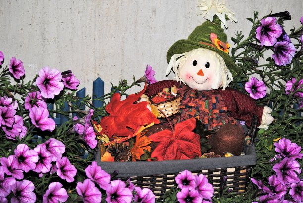 可爱的稻草人与一篮子丰富的食物为感恩节围绕着明亮的粉红色花朵图片下载