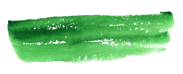 绿色水彩艺术手绘白色背景孤立，笔刷纹理的文字或标志图片下载