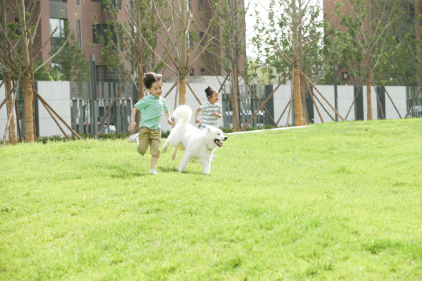 快乐的孩子们在草地上玩耍图片下载