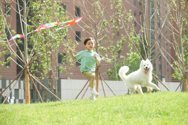 小男孩在户外玩耍图片下载