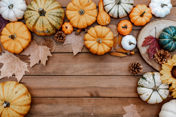 感恩节平。南瓜，秋天的树叶在质朴的木头上，有文字的空间。感恩节和万圣节快乐。你好,秋天。收获图片下载