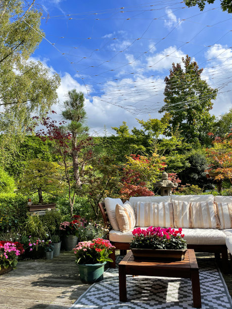 户外休息区在阳光明媚的秋天花园装饰，室外地毯，槽，白色的木制甲板，硬木座椅与靠垫，串灯，盆景树，日本枫树，景观东方设计花园，聚焦前景图片下载