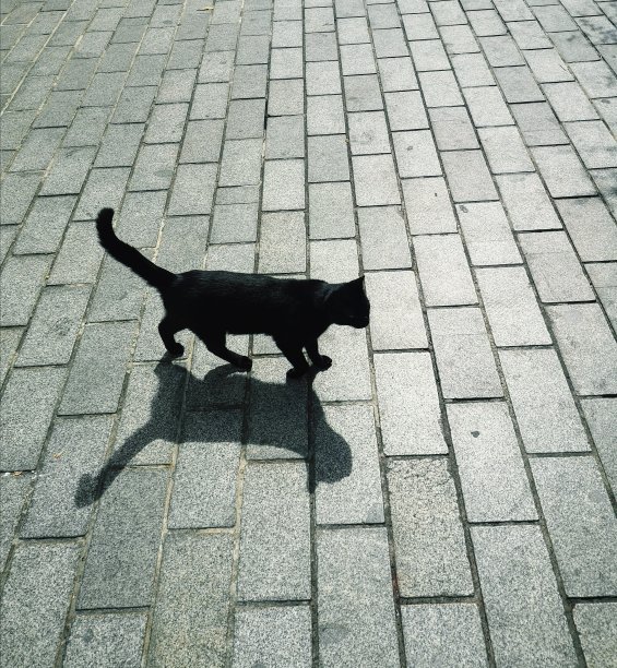 模糊。图片下载