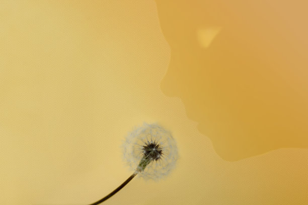 概念上的工作。女人与自然。棕色背景上的花朵和一个女人的头部剪影。图片下载