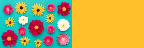 母亲节快乐，妇女节，情人节或生日。多色平铺贺卡横幅与美丽的花朵。图片下载