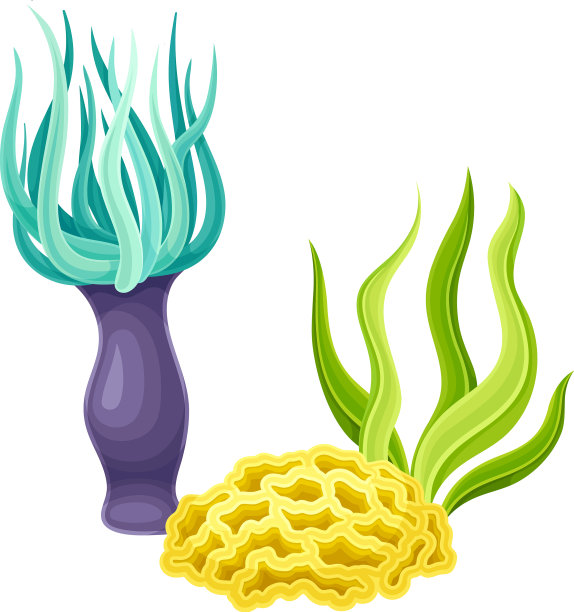 生长在海底的海珊瑚和海藻图片下载