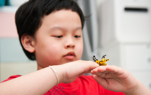 一只蝴蝶停在一个亚洲男孩的手上，他正微笑着凝视着。快乐地在房间里在房子里图片下载