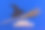 黑色女巫帽，扫帚和快乐的万圣节字母在蓝色的背景。图片下载