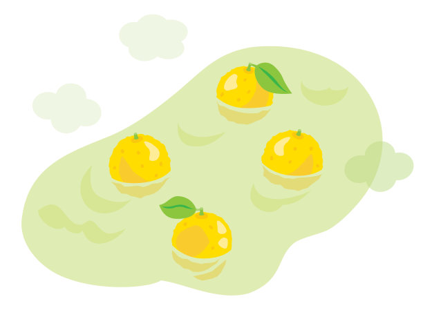 冬至的香橼热水。图片下载