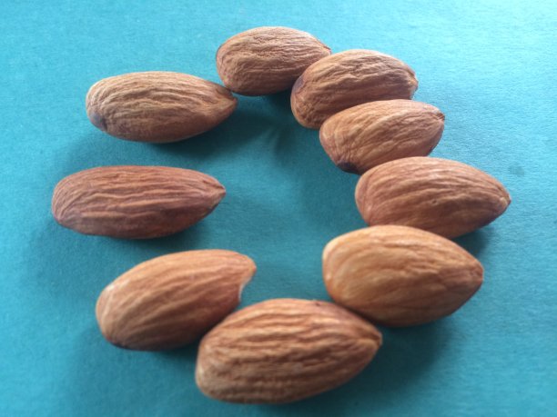 杏仁，营养丰富的种子在形状图片下载