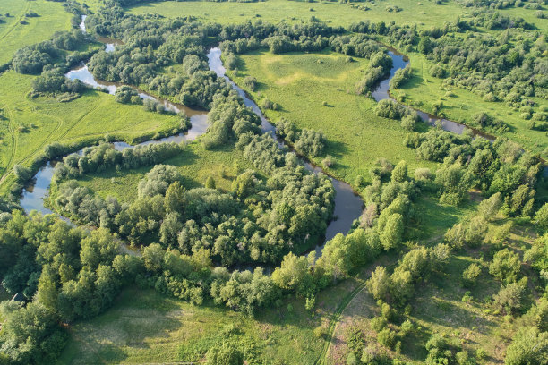 无人机的航拍照片。森林绿化景观图片下载