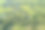 无人机的航拍照片。森林绿化景观图片下载