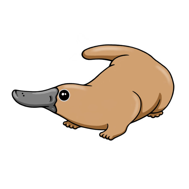 鸭嘴兽图片下载