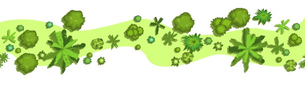 丛林森林俯视图。水平无缝合成。杂草丛生的漂亮的热带雨林。孤立在白色背景上。卡通风格的平面设计。说明向量。图片下载