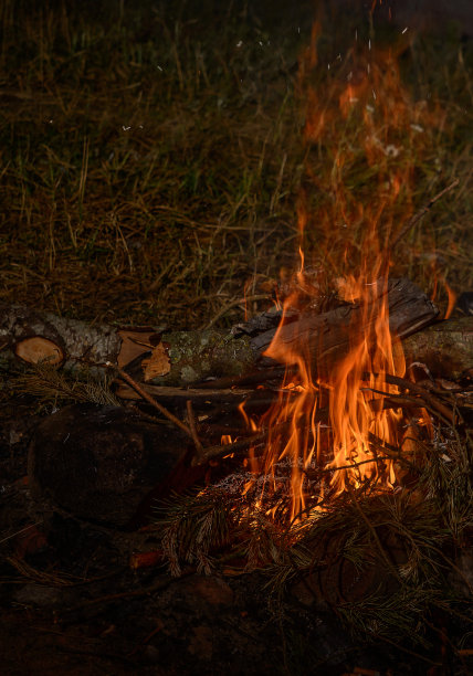 夜晚在树林里燃烧的篝火。图片下载