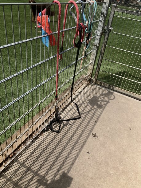 狗狗公园围栏上的皮带图片下载