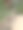 狗狗公园围栏上的皮带图片下载