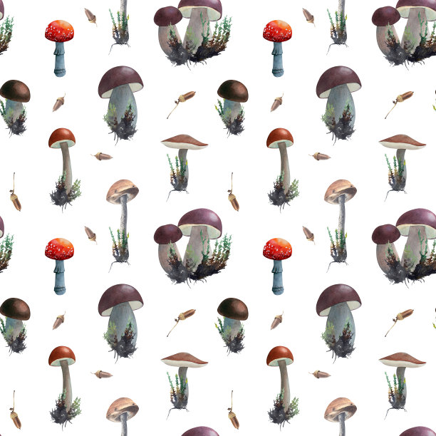 手绘水彩无缝图案与不同的蘑菇隔离图片下载