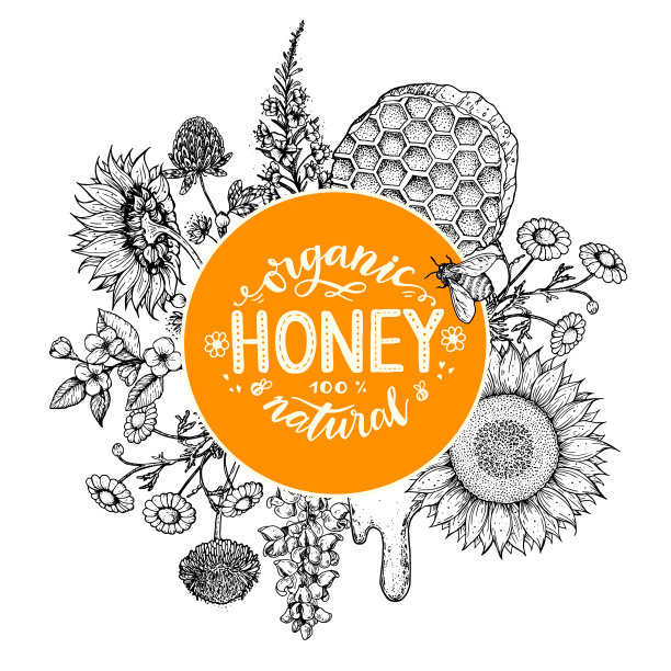 蜂蜜手绘矢量插图。健康食品的说明。字母有机蜂蜜100%天然。蜂巢，鲜花，一罐蜂蜜素描。图片下载