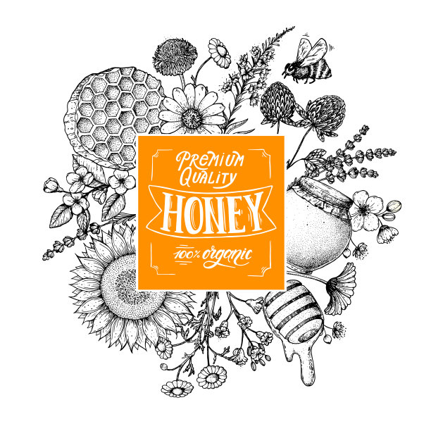 蜂蜜手绘矢量插图。蜂蜜标签。健康食品的说明。字母优质蜂蜜100%有机。蜂巢，鲜花，一罐蜂蜜素描。图片下载