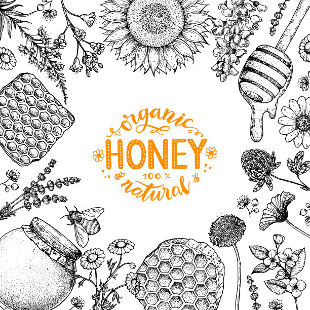 蜂蜜手绘矢量插图。蜂蜜框架。健康食品的说明。字母有机蜂蜜100%天然。蜂巢，鲜花，一罐蜂蜜素描。图片下载