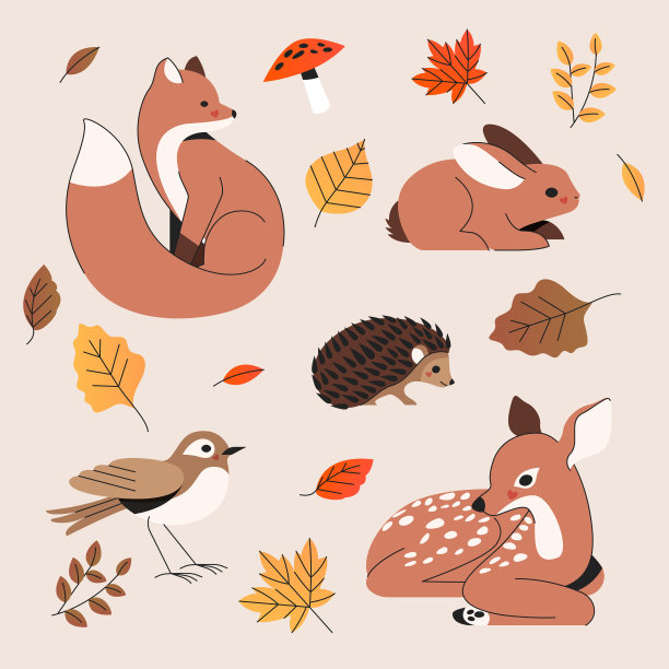 手工绘制的秋季动物收藏图片下载