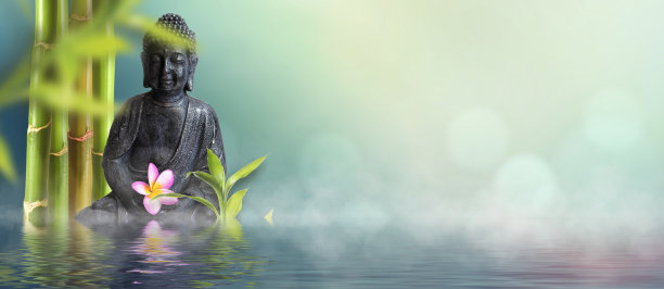 健康背景与佛，竹和鸡蛋花图片下载