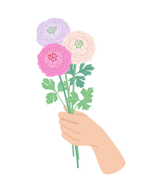 女性手捧一束盛开的毛茛图片下载