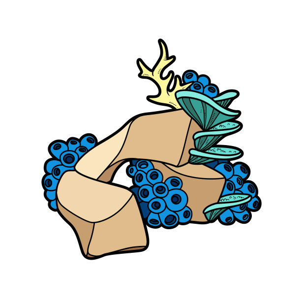 珊瑚生长在颜色变化的岩石上图片下载