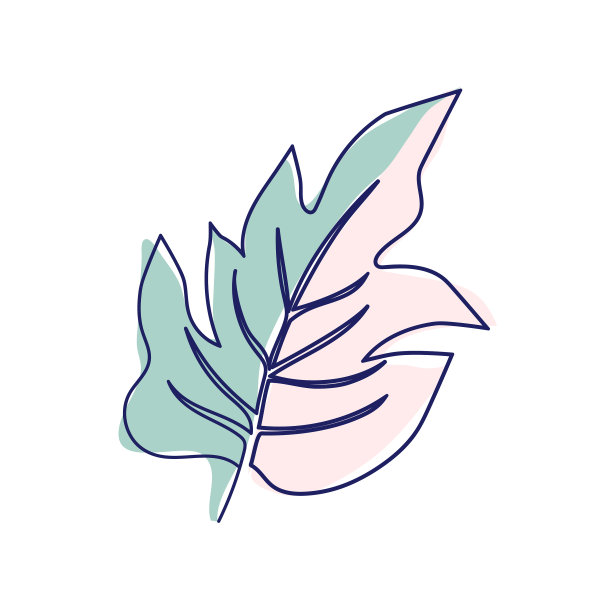 连续的线条画出美丽的花朵图片下载