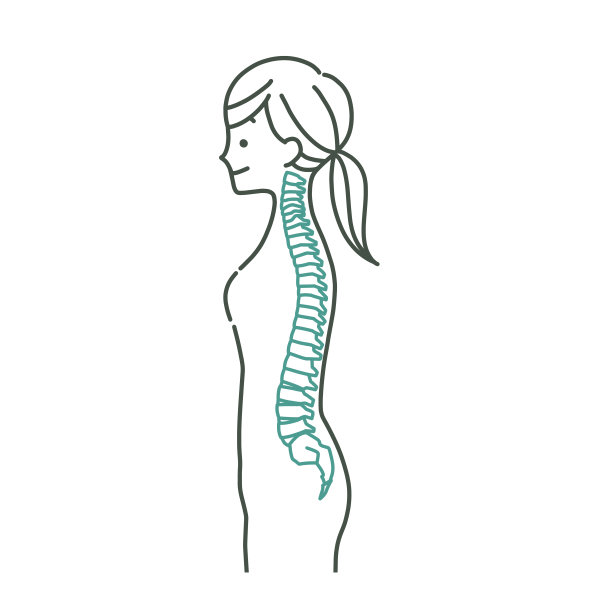 女性身体和脊柱图片下载