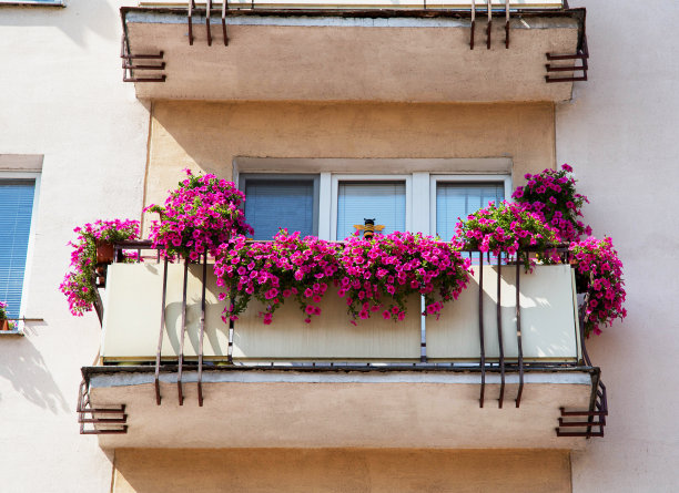 粉红色的矮牵牛花在一个多层建筑的阳台上，传统图片下载