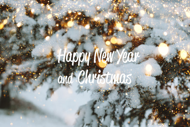 圣诞节日背景短语新年快乐，圣诞节快乐。松软的云杉树枝上，雪花闪闪发光图片下载