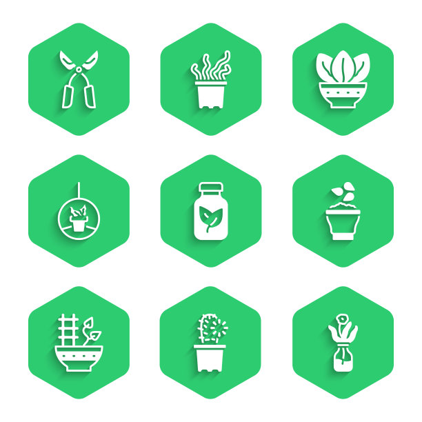 将肥料瓶中的仙人掌佩奥特放入锅中图片下载