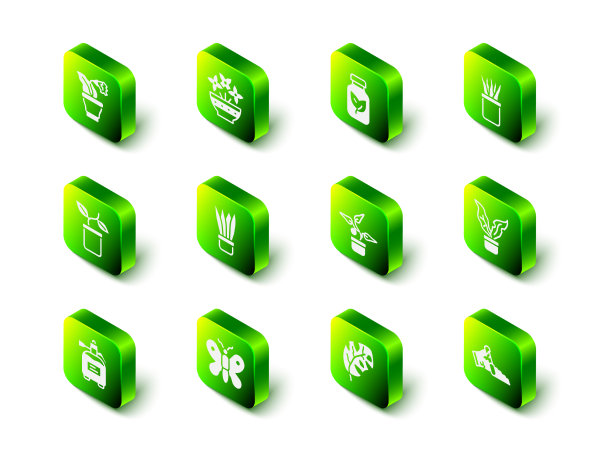 花瓶肥料瓶花盆中插花图片下载