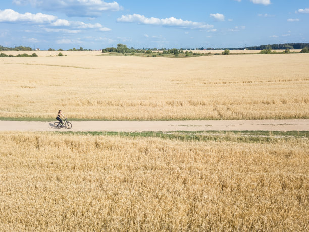 在一个阳光明媚的夏日，一个年轻女子骑着自行车沿着路边骑着小黑麦。侧视图图片下载