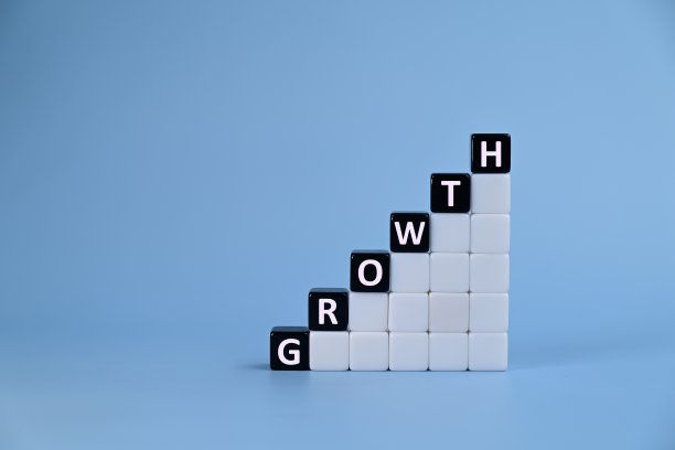 生长文本打印在立方体上。企业成就目标、个人发展和客观目标理念。副本的空间。图片下载